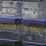 Rubber SD-Fenders - Kat Mar Sports LLC